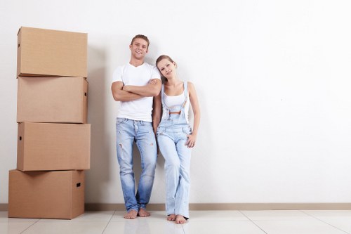 Bigginhill Storage accessibility statement introduction